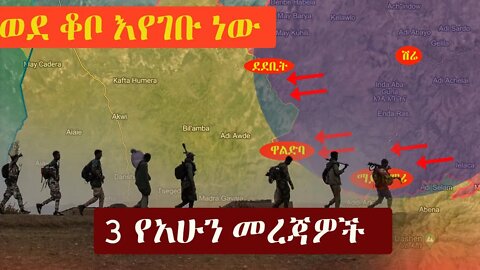 Ethiopia: 3 የአሁን መረጃዎች | Zehabesha 12