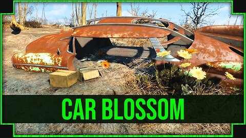 Car Blossom in Fallout 4 - Wonder Are They Classified Documents!