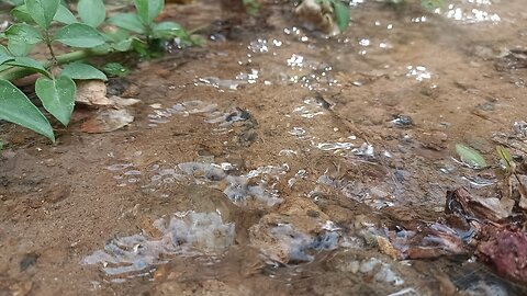 😱 Emergency water discharge from mini dam 😨 , #trending #art #videos #miniature #politics