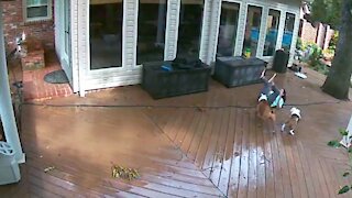 Security Camera Fails