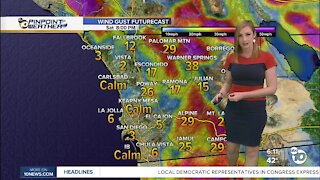 ABC 10News Pinpoint Weather with Meteorologist Leah Pezzetti