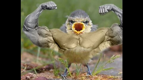 A bird attacked to a bicycle man / The bird blocked the way.