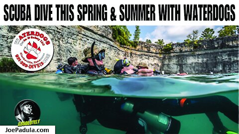 Waterdog Scuba & Safety in Clarksville, Tn. is Affordable, Fun and Perfect for the Spring and Summer