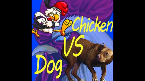 Chicken VS Dog Fight