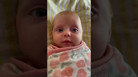 Best Videos Of Funny Twin Babies Compilation - Twins Baby Video. #2022 Happy New Year