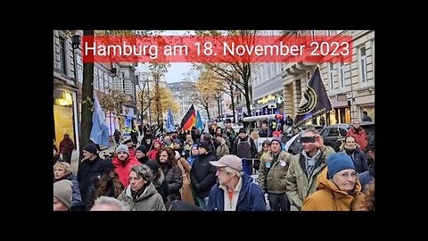 Demo in Hamburg mit Björn Banane🙈🐑🐑🐑 COV ID1984