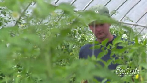 Kinship Community Food Center's Urban Garden hopes to reduce food deserts