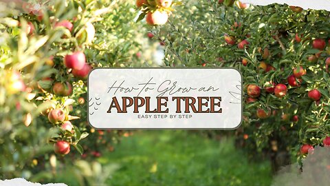 How to grow an Apple Tree