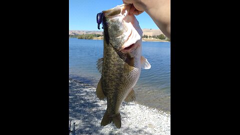 SUMMER TIME BASSIN !! NEW PB !!