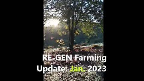 Re-Gen Farming Citrus and Macadamia Trees | Update Jan. 2023