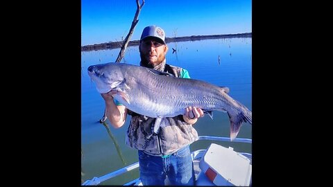 Catching over 100lbs of catfish in 2 hours. Splat fishing