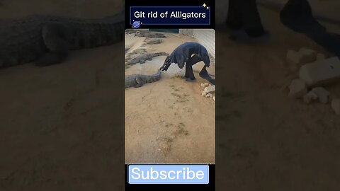 This is how you can drive away Alligators || Get rid of Alligators