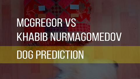 McGregor vs Khabib Nurmagomedov Prediction From A Dog