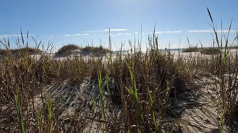 St George Island Water Waves from behind a Dune #ASMR