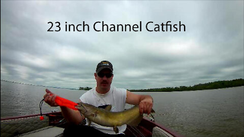 Chesapeake Bay Tournament Fishing out of Anchor Marina