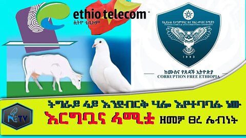 ETHIOPIA:NEST TV:ትግራይ ላይ እንደብርቅ ሃሎ እየተባባሉ ነው/እርግቧና ላሚቷ/ ዘመቻ ፀረ ሌብነት...