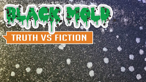 Black Mold - Truth vs Fiction