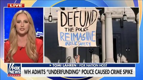 Tomi Lahren: Americans are sick of Democrats' woke agenda