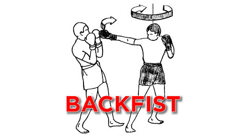 BACKFIST