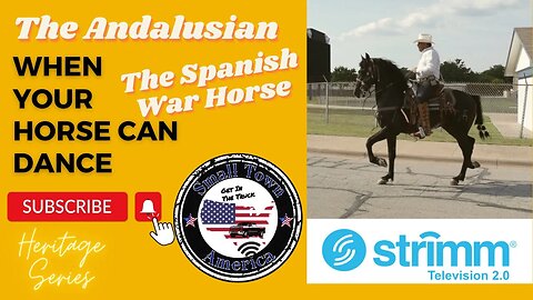 An Inside Look at The Spanish War Horse See The Andalusian Horse Small Town America Heritage Series