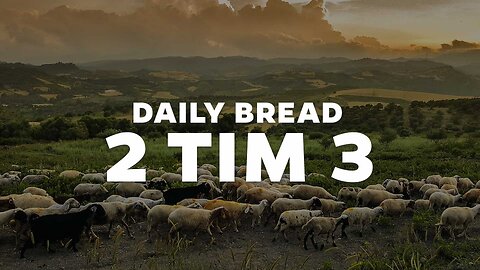 Daily Bread - 2 Tim 3