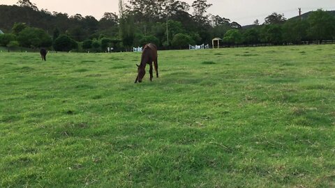 Penny and Dyani's first night at Wyong Creek