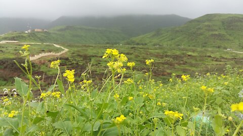 Green land,The autumn