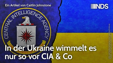 In der Ukraine wimmelt es nur so vor CIA & Co | Caitlin Johnstone | NDS-Podcast