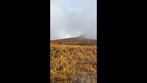 Top of the World Highway Alaska