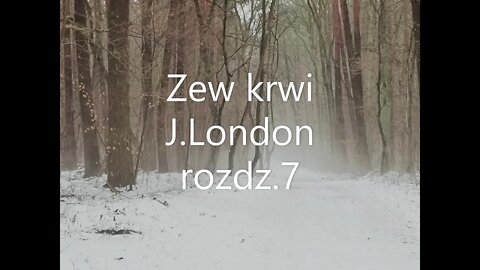 Zew krwi -Jack London rozdz.7 Gdy zabrzmiał zew