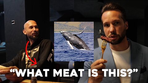 Tristan Tate FORCES Andrew To Eat Suspicious WHALE Meat.