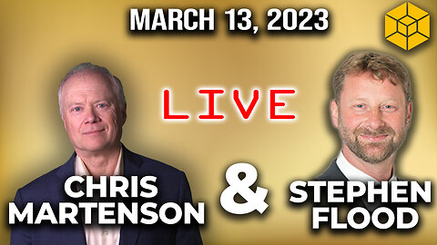 Chris Martenson + Stephen Flood (LIVE): Market Analysis