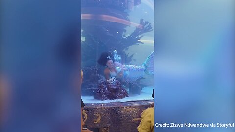 Quick Thinking 'Mermaid' Escapes Drowning After Tail Gets Caught In Aquarium Tank