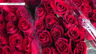 Uncertainty looms over possible flower shortages ahead of Valentine's Day