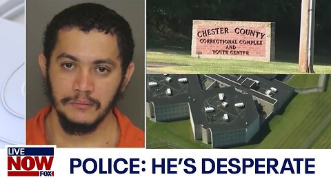 Pennsylvania escaped killer: Multiple sightings in search for Danelo Cavalcante | LiveNOW from FOX