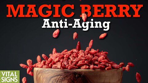 Oriental Goji Berry Long Used for Anti-Aging, Antioxidant, and Eye-Health Properties