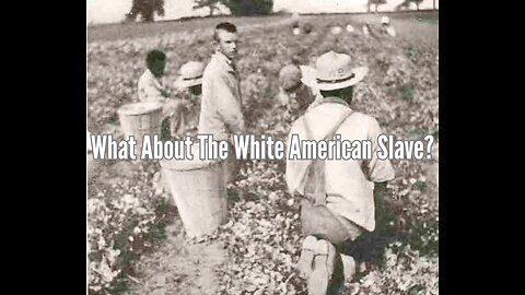 What About The White American Slave?