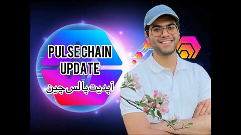 Pulse Chain Testnet and Update - Farsi Explained - #hex #pls #plsx