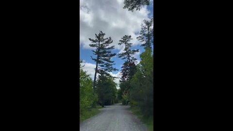 Walking into Point Pleasant Park Halifax