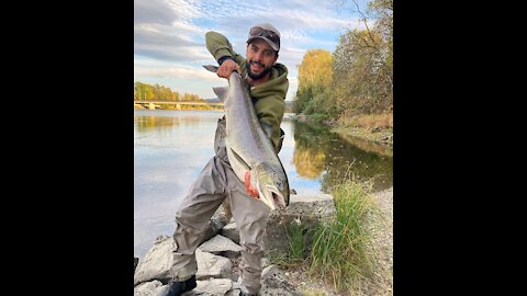 Intro - Flyfishing for atlantic salmon