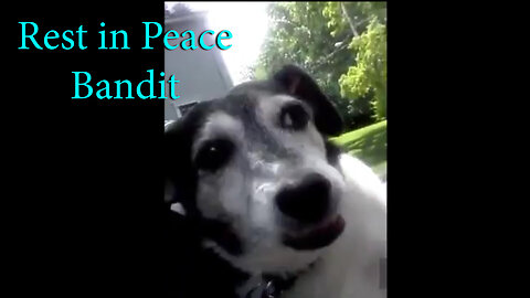 Rest In Peace Bandit (Music Video)