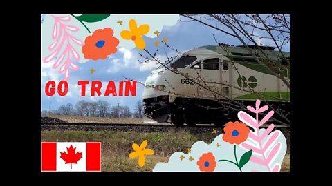 Commuter Train | GO Train | Greater Toronto Area 🇨🇦