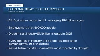 23ABC In-Depth: Economic Impacts of the Drought on California