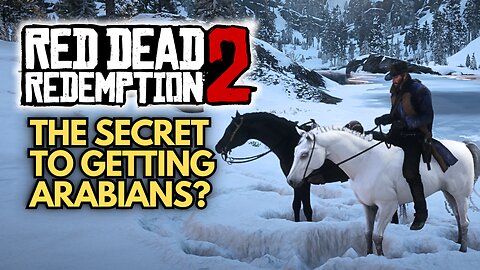 RDR2 White & Black Arabian for free - Locations, Methods in Chapter 2