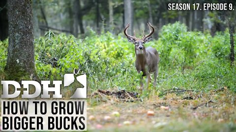 Grow Bigger Bucks | Deer & Deer Hunting TV