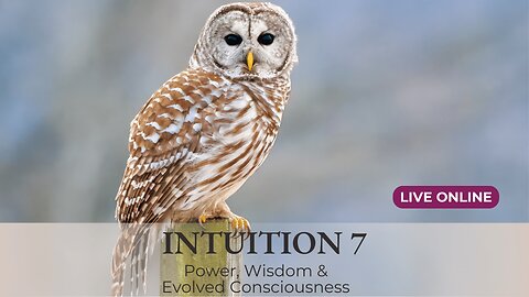 🦋 Coming in October: INTUITION 7 Live Online 🦋