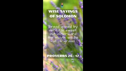 Proverbs 20.17 | NRSV Bible - Wise Sayings of Solomon