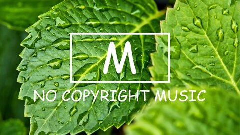 Fredji - Happy Life（Mm No Copyright Music）