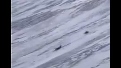 Dead Bodies Sliding Down Mount Everest