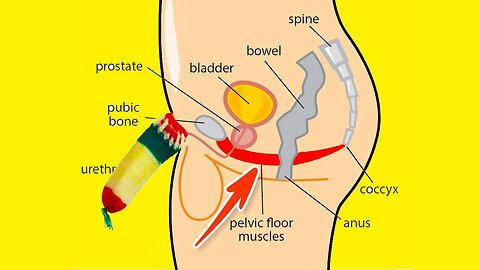 ➜ Strengthen Your PELVIC FLOOR ➜ Exercises For MEN ONLY!